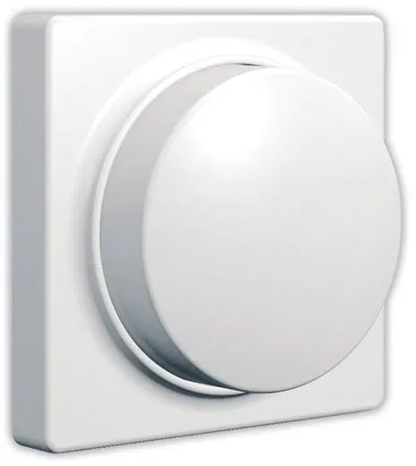 Controller -  weiß