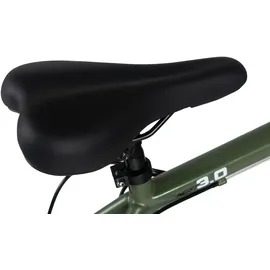 WYLD Heist 29 Zoll RH 51 cm grün