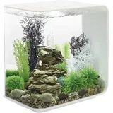 OASE FLOW 30 LED weiß Aquarium 30l mit LED-Beleuchtung