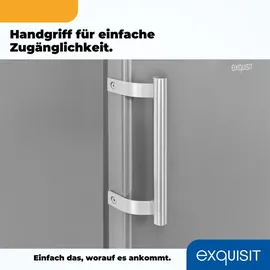 Exquisit KS16-4-HE-040D Kühlschrank (109 l, 850 mm hoch, Inoxlook)