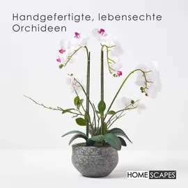 Homescapes KUNSTBLUME Orchidee weiß-pink im Deko-Topf, 52 cm