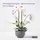 Homescapes KUNSTBLUME Orchidee weiß-pink im Deko-Topf, 52 cm