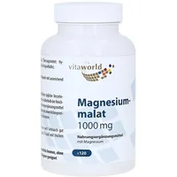 VITA-WORLD Magnesiummalat 1000 mg Kapseln 120 St.
