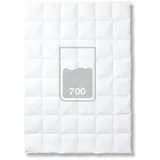 Kauffmann »Elegance 700« Daunendecke Warm / 135x200 cm / Füllgewicht 600 g