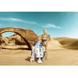 KOMAR Fototapete Star Wars Lost Droids