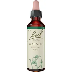 Bachblüte Walnut