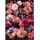 Kare Touched Flower Bouquet, 140x200cm