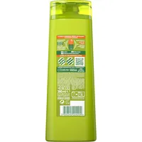 Garnier Fructis Hydra Liso 360 ml