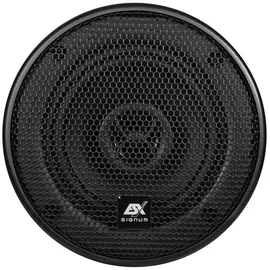 ESX Signum SE-42