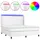 vidaXL Boxspringbett mit Matratze & LED Weiß 180x200 cm Kunstleder