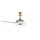 Cecotec EnergySilence Aero 4265 106,68 cm Deckenventilator Gold/Weiß