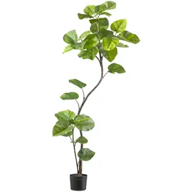 Creativ green Kunstpflanze CREATIV GREEN "Ficus umbellata", grün, H:160cm, Kunststoff, Kunstpflanzen, Kunstpflanze, mit tollem Blattwerk