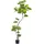 Creativ green Kunstpflanze CREATIV GREEN "Ficus umbellata", grün, H:160cm, Kunststoff, Kunstpflanzen, Kunstpflanze, mit tollem Blattwerk