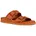 Sandybett Orange 41