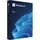 Microsoft Windows 11 Pro USB-Stick DSP/SB DE