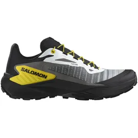 Salomon Aero Glide 3 Herren Grau / Silber 44