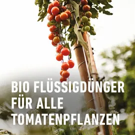 Compo Bio Tomatendünger 1 l