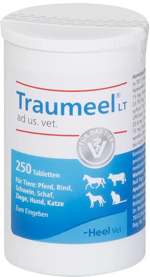 Traumeel LT ad us. vet. Tabletten