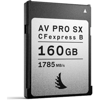 Angelbird AV PRO SX Type B 160 GB