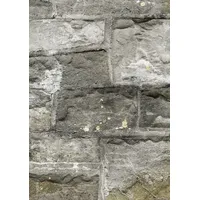 WESTAG & GETALIT AG Küchenrückwand WandArt easy 120 x 58,5 cm, 3 mm, old castle wall