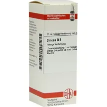 DHU-Arzneimittel SILICEA D 6