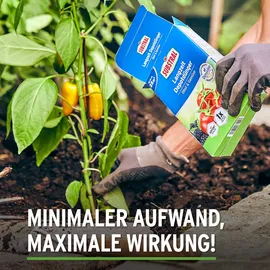 Substral Langzeit Depotdünger Obst & Gemüse 750 g