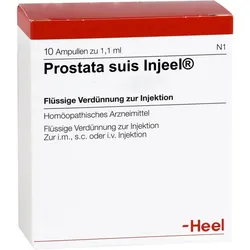 Prostata suis-Injeel