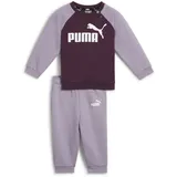 Puma Unisex Baby Minicats ESS Raglan Jogger FL Trainingsanzug