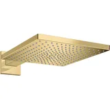 Hansgrohe Raindance E 300 1jet Kopfbrause mit Brausearm polished gold optic