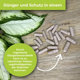 SBM Protect Garden Lizetan Plus Combistäbchen 20 Stück