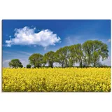 Artland Leinwandbild »Rapsfeld im Frühling«, Felder, (1 St.), auf Keilrahmen gespannt, gelb