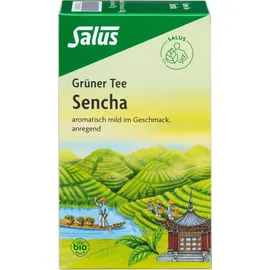 SALUS Grüner Tee Teebeutel 15 St.