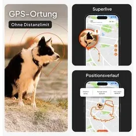 Weenect XT GPS Tracker für Hunde 6 kg Orange