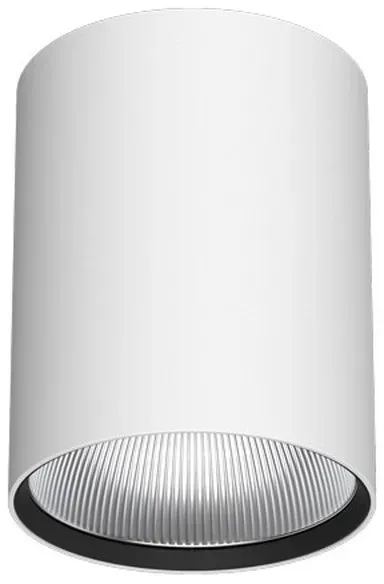 LTS Licht&Leuchten Anbau-Downlight BTN-A303.930.MF/D.ws