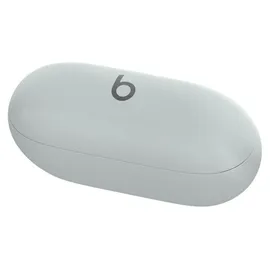 Beats Solo Buds sturmgrau