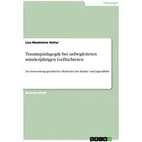 GRIN Verlag Traumapädagogik bei unbegleiteten minderjährigen Geflüchteten: Zur Anwendung
