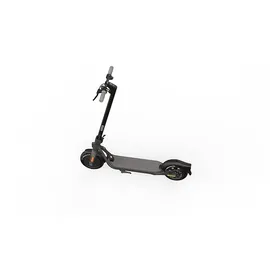 Segway-Ninebot F20D schwarz