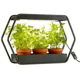 NORTHPOINT Design LED Pflanzenlampe Pflanzenleuchte Kräutergarten Innengarten Gewächslampe Metallgestell 14W 1000 Lumen Timer Industrial-Look