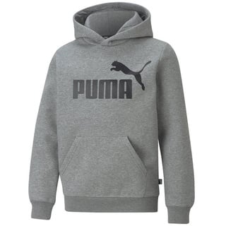 Puma Jungen Pullover, ESS Big Logo Hoodie-586965, Grau, 110