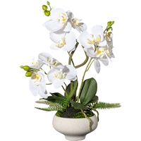 CREATIV green künstliche Pflanze Orchidee Phalaenopsis x3, ca 50cm weiss, Real Touch, arrangiert mit Laub und Wurzel