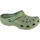 Moss 45-46