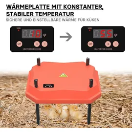 fudajo Küken-Wärmeplatte 25 x 30 cm rot/schwarz