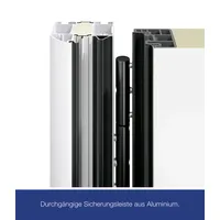 Hörmann THP 610S links 110 x 210 cm anthrazitgrau