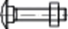 E-NORM PRO FLACHRUNDSCHRAUBE DIN 603 M10X 80 A2