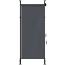 Outsunny Senkrechtmarkise 120 x 310 cm Grau