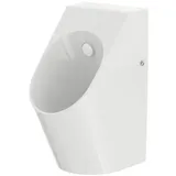 TOTO Urinal Zulauf hinten, randlos, 306x400x590mm, UWN926EBS