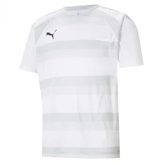 Puma Teamvision Jersey Jr Shirt, Puma White-glacier Gray-puma Black, 176