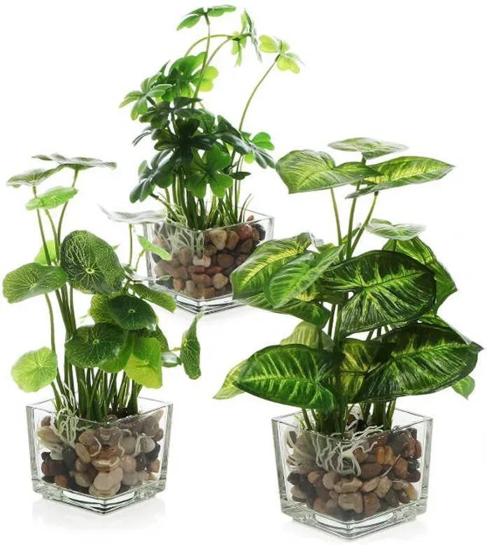 MyGift Set aus 3 künstlichen Pflanzen, kleine künstliche Zimmerpflanzen in klarem Glasgefäß, 24 cm Kunstpflanzen für Wohnungsdekoration