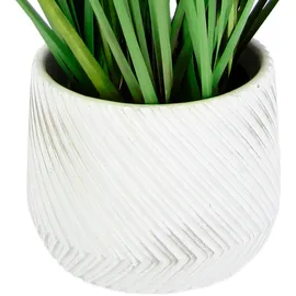 Flair Flower Künstliches Fuchsschwanzgras mit Übertopf Gras Kunstpflanze Kunstgras Ziergras Grünpflanzen Dekogras Grasbüschel Ziergras Solitärgras Deko Borstenhirse Süßgräser Federborstengras Lampenputzergras