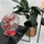 h.koenig JOE50 Tischventilator metall/rot